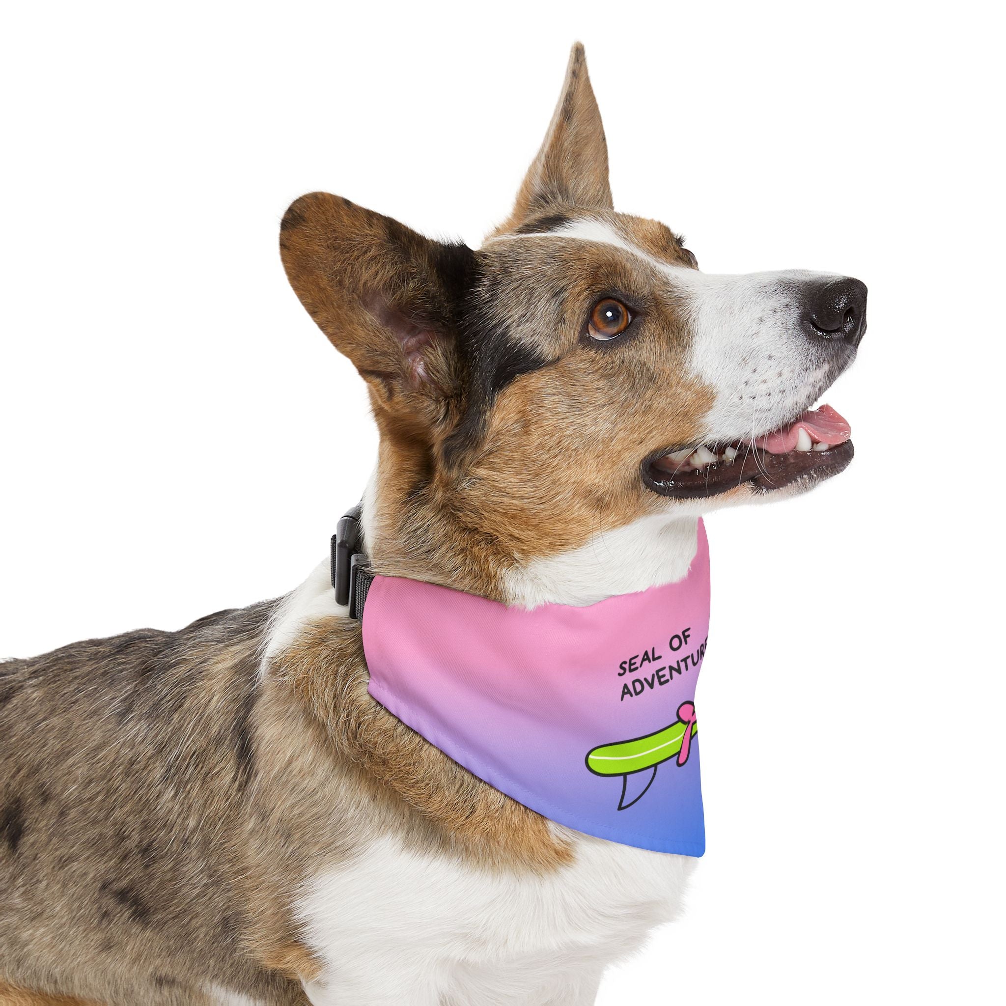 "Seal of Adventure" Pet Bandana with Buckle, Pink/Blue