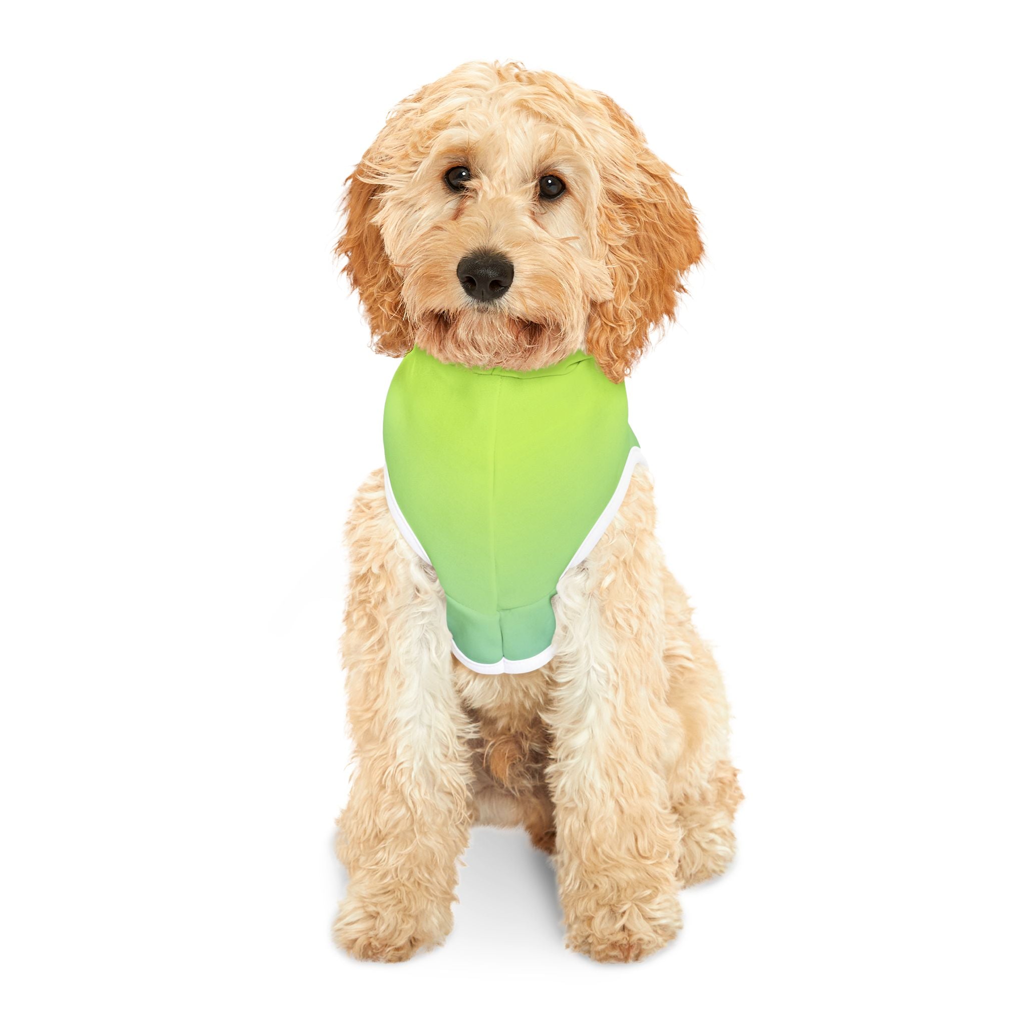 "Seal of Adventure" Pet Hoodie, Green/Blue