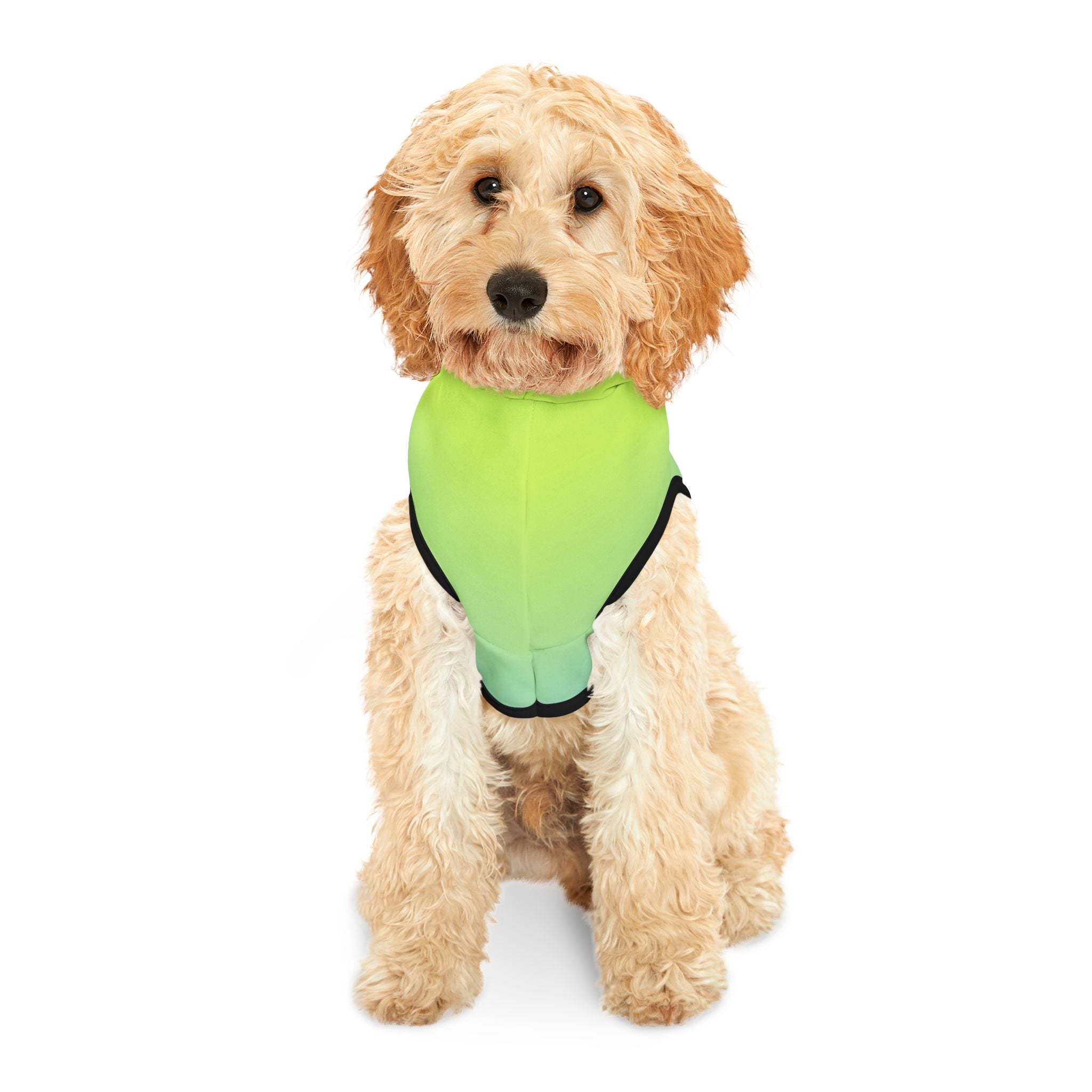 "Seal of Adventure" Pet Hoodie, Green/Blue