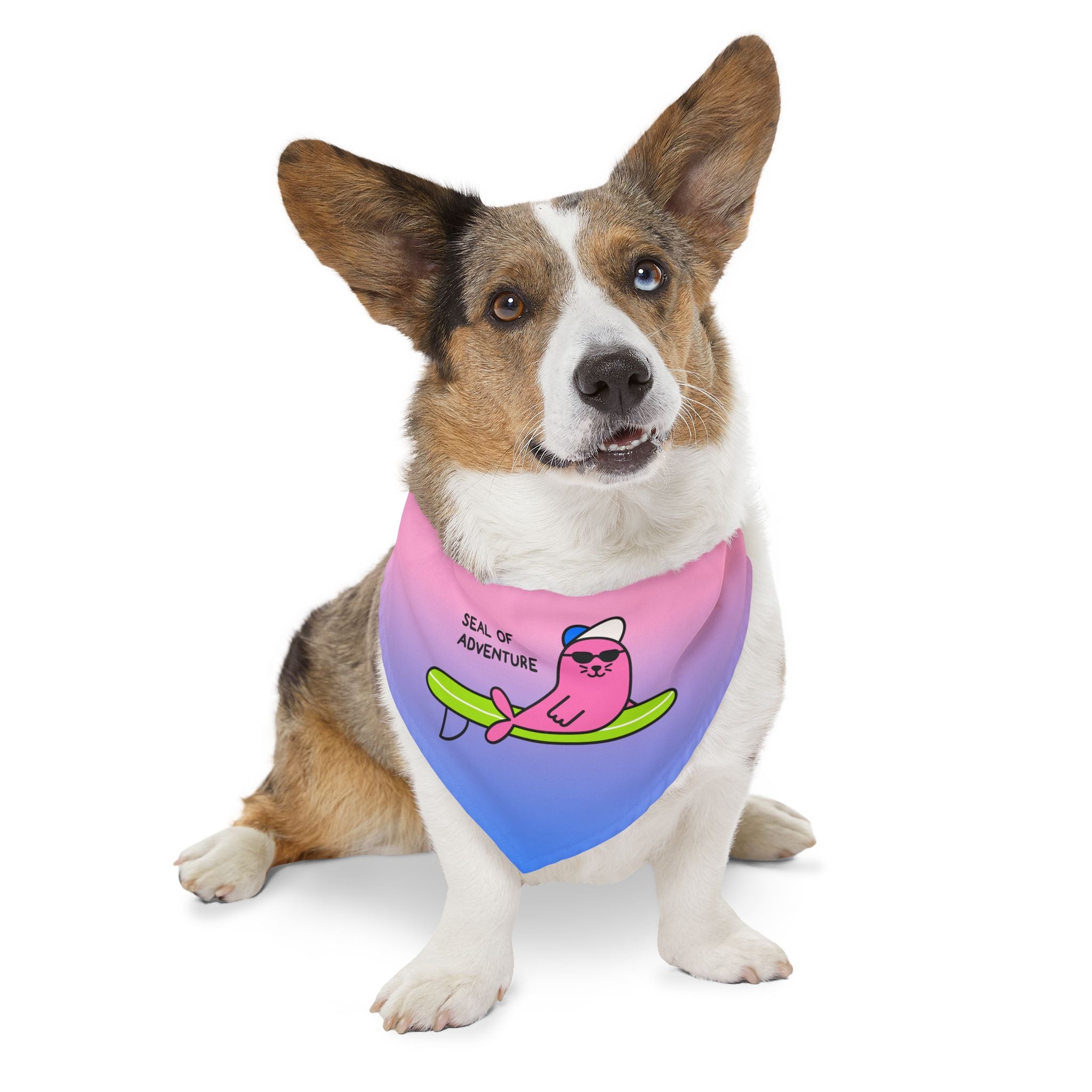 "Seal of Adventure" Pet Bandana with Buckle, Pink/Blue