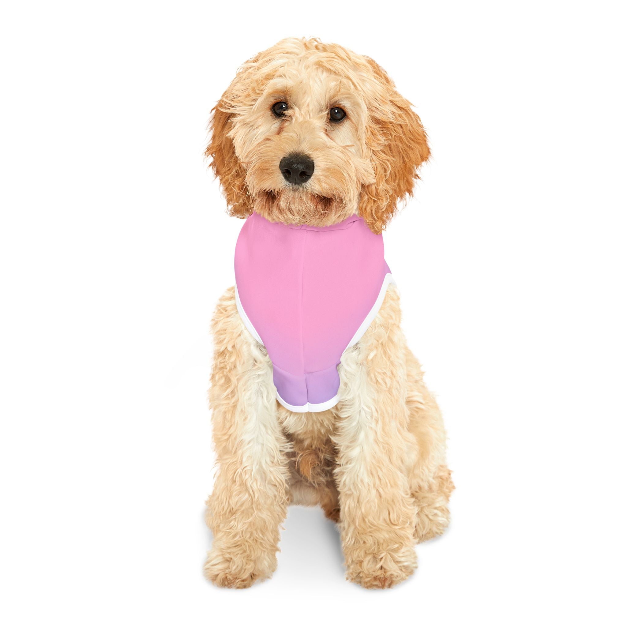"Seal of Adventure" Pet Hoodie, Pink/Blue