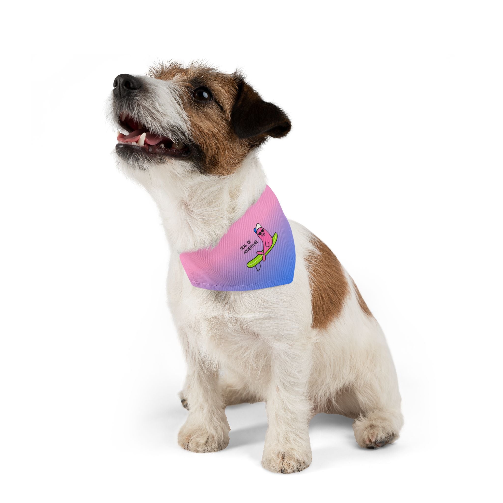 "Seal of Adventure" Pet Bandana with Buckle, Pink/Blue